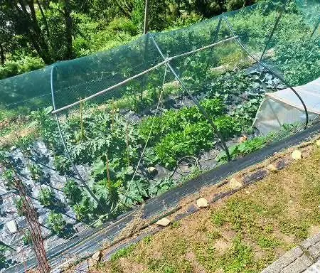 Апартаменты La Selva