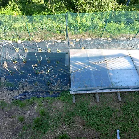 Апартаменты La Selva *