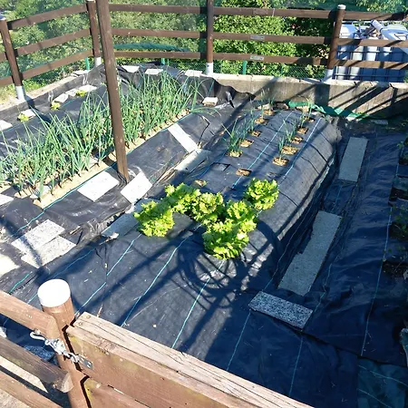 Apartment La Selva *