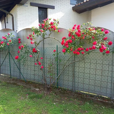 شقة La Selva Vistrorio